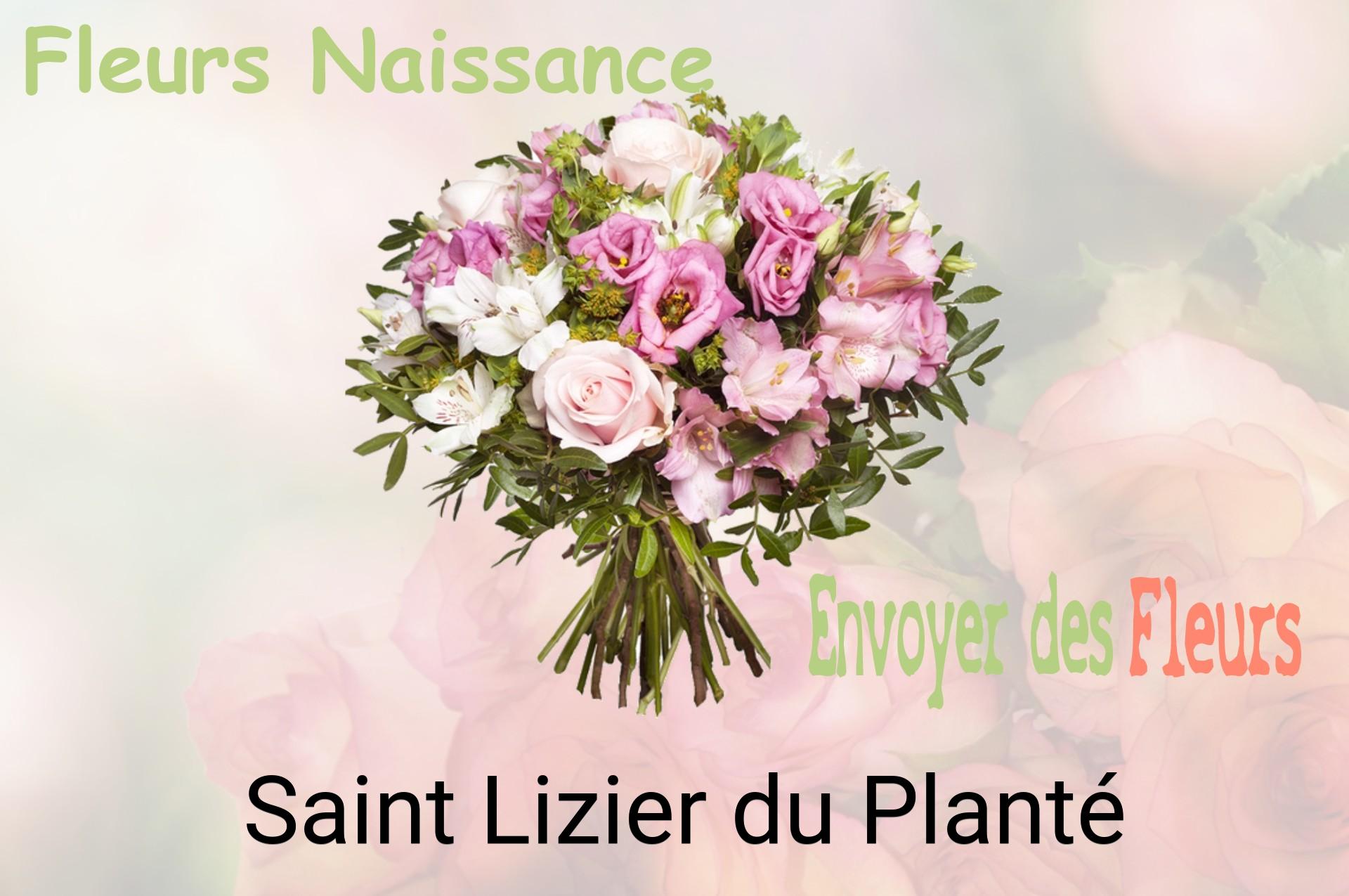 Bouquet de fleurs de naissance livré à Saint-Lizier-du-Planté